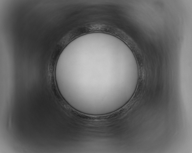 X0000102260737200807250837