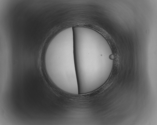 X0000102260738200807250837