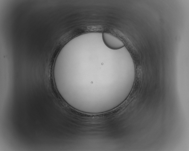 X0000102260741200807250837