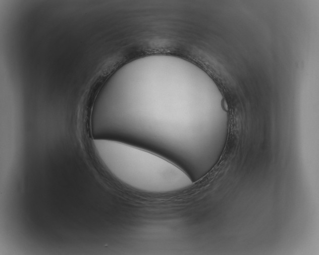 X0000102260742200807250837