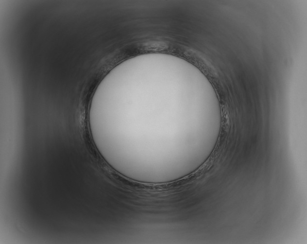 X0000102260745200807250837