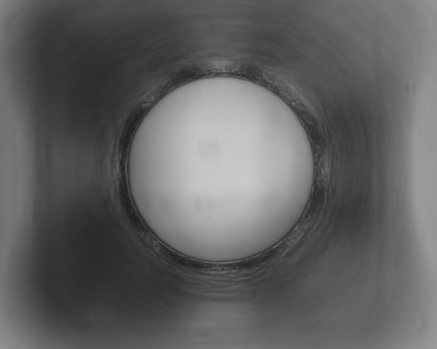 X0000102260746200807250837