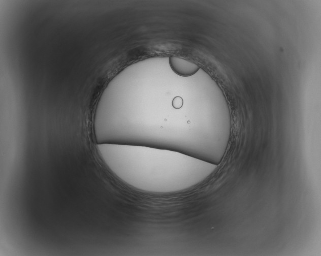 X0000102260749200807250837