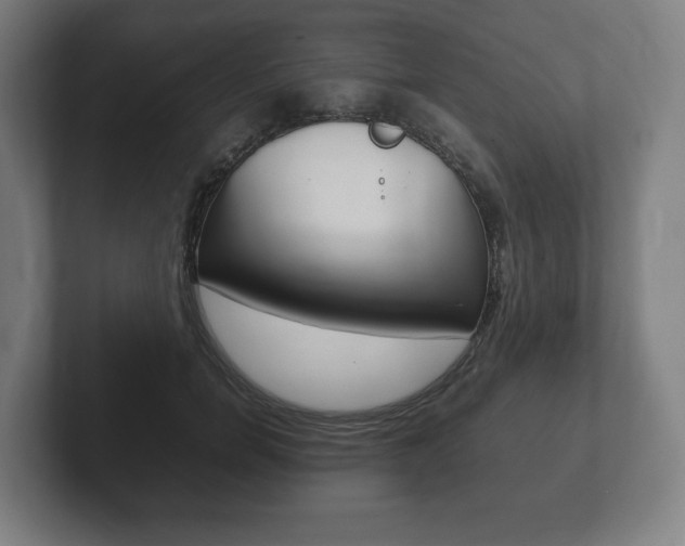 X0000102260750200807250837