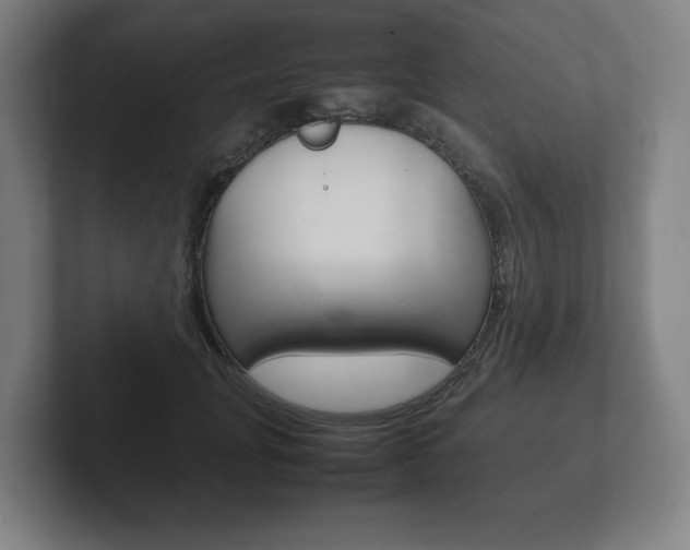 X0000102260751200807250837