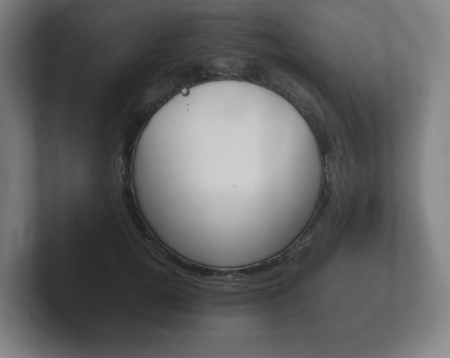 X0000102260752200807250837