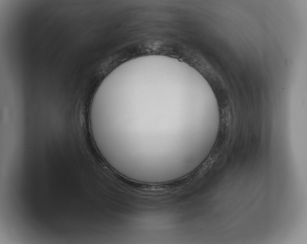 X0000102260754200807250837