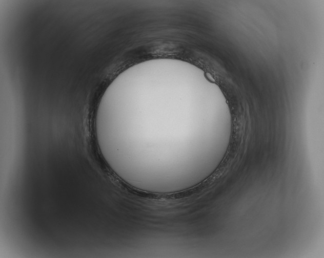 X0000102260755200807250837