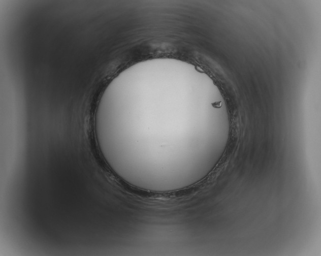 X0000102260756200807250837