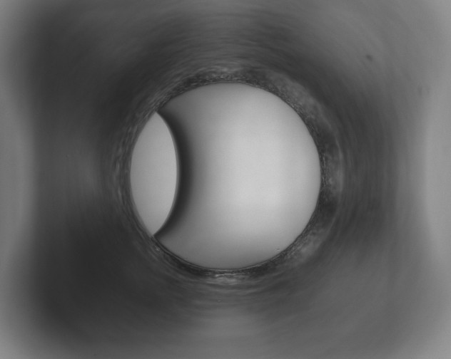 X0000102260758200807250837