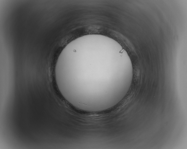 X0000102260759200807250838