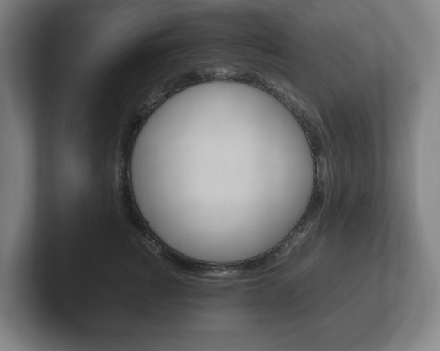 X0000102260760200807250838