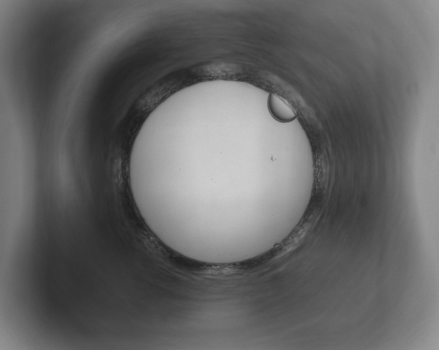 X0000102260762200807250838