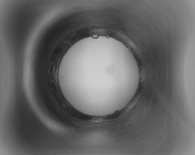 X0000102260764200807250838