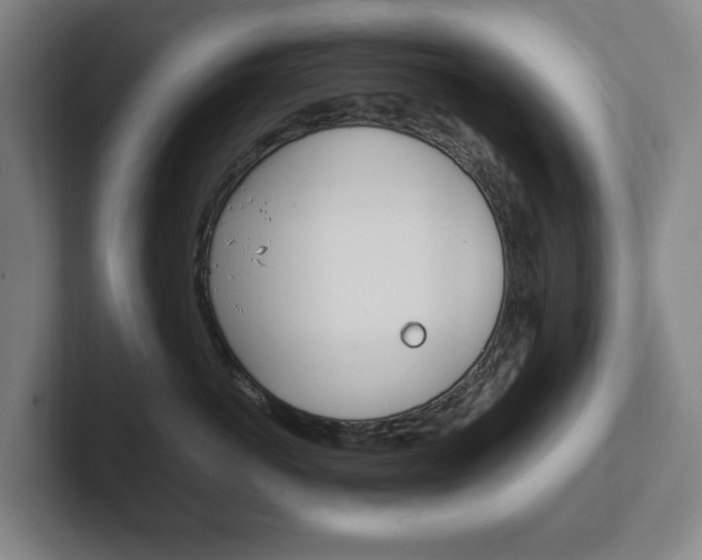 X0000102260766200807250838