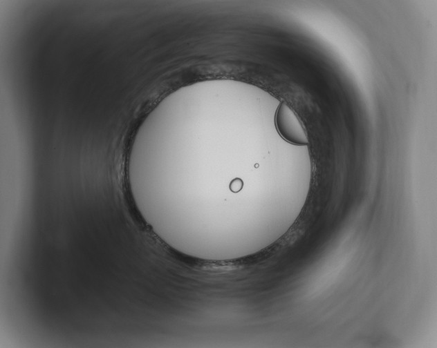 X0000102260767200807250838