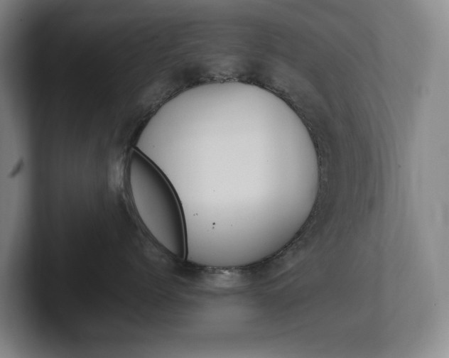X0000102260768200807250838