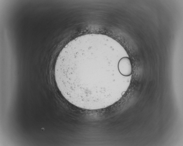 X0000102260769200807250837