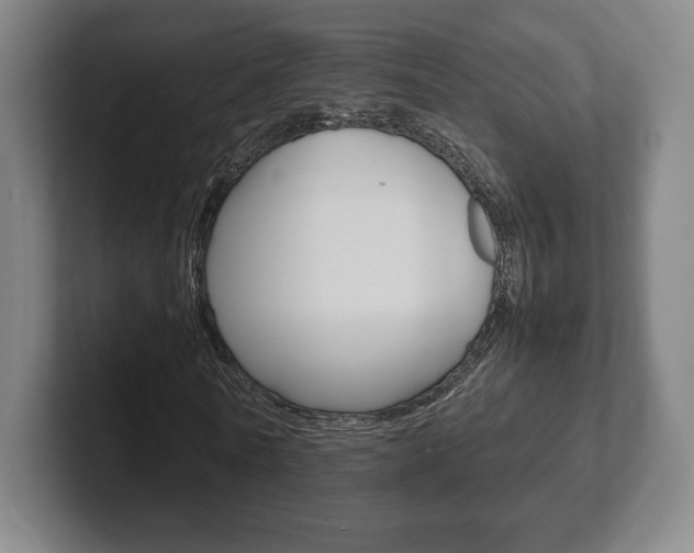 X0000102260770200807250837