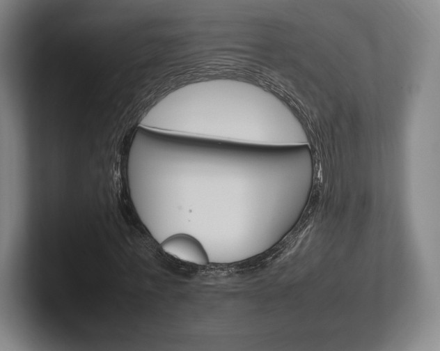 X0000102260771200807250837