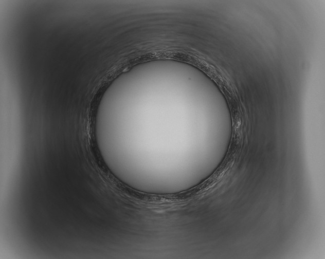 X0000102260772200807250837