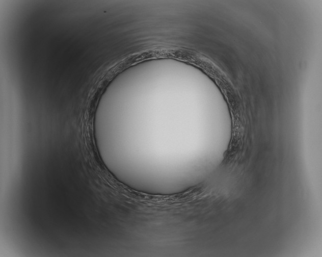 X0000102260773200807250837
