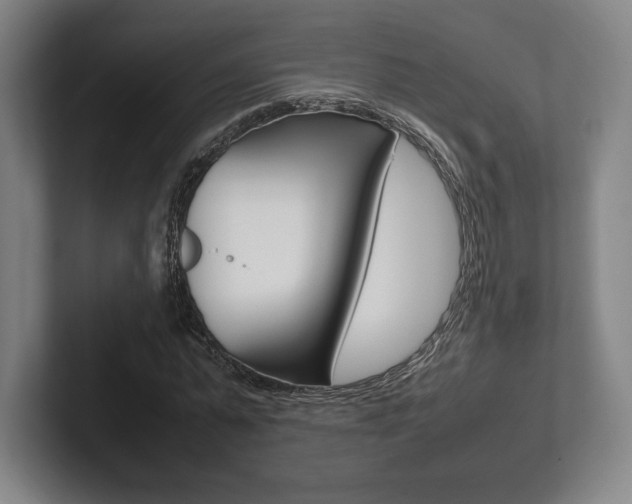 X0000102260775200807250837