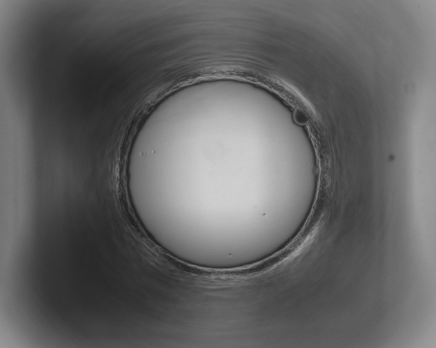 X0000102260777200807250837