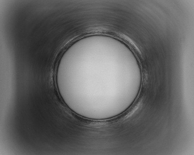 X0000102260778200807250837