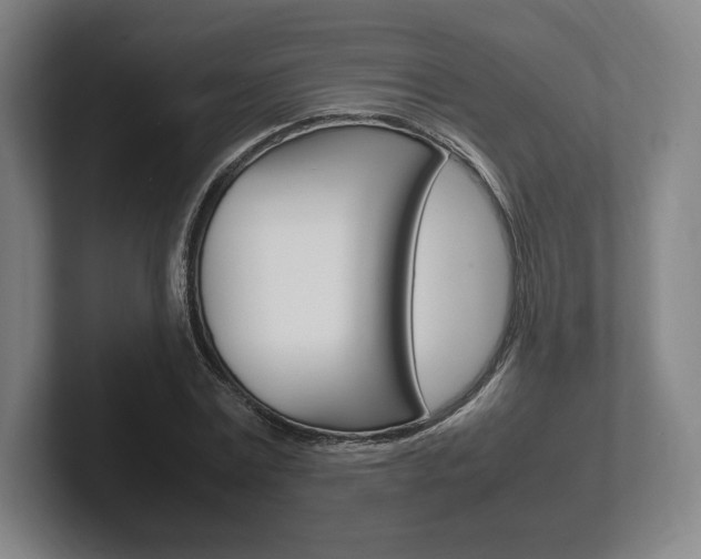X0000102260779200807250837