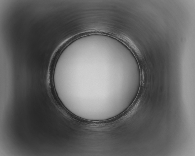 X0000102260780200807250837