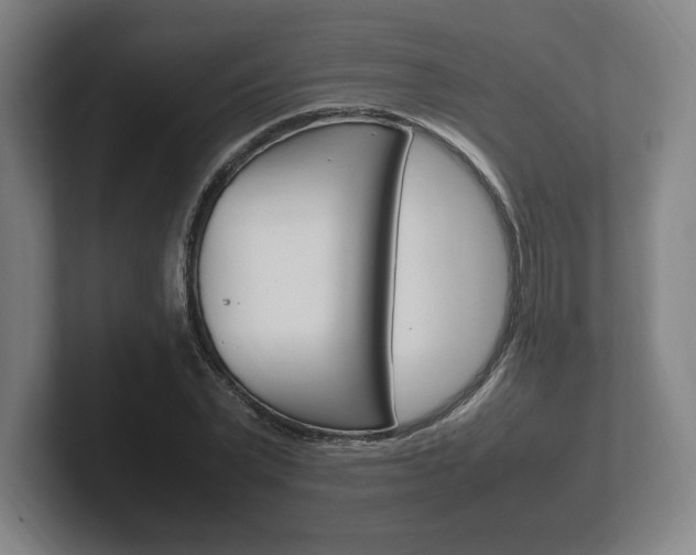 X0000102260783200807250837