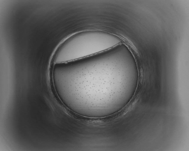 X0000102260784200807250837