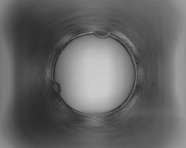 X0000102260785200807250837