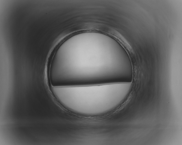 X0000102260788200807250837