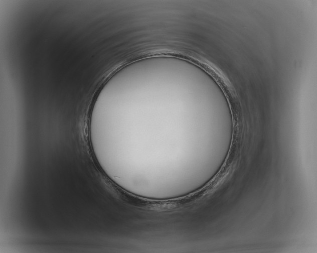X0000102260793200807250837