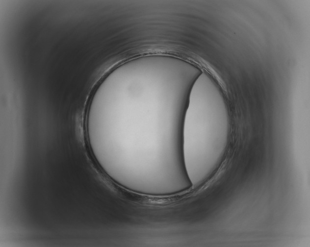 X0000102260794200807250837