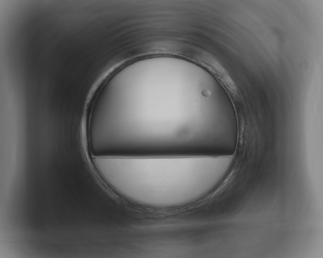 X0000102260796200807250837