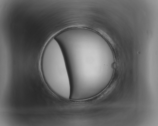 X0000102260797200807250837