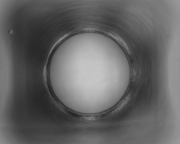 X0000102260798200807250837