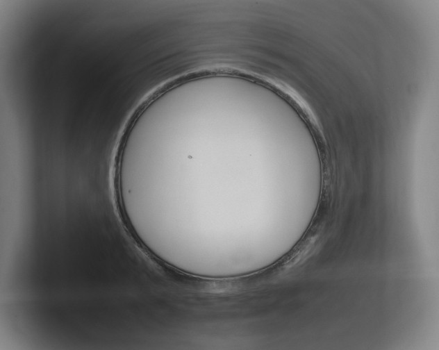 X0000102260799200807250837