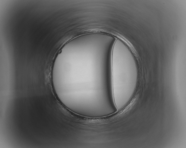 X0000102260801200807250837