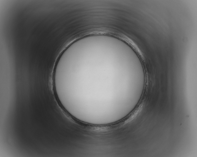 X0000102260802200807250837