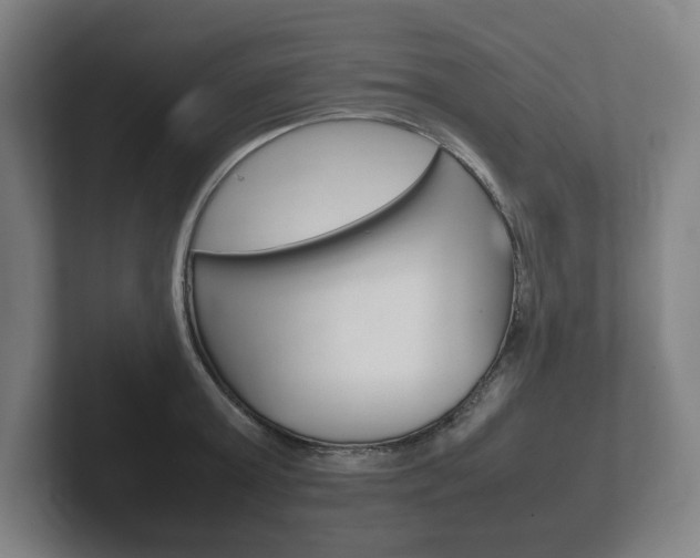 X0000102260803200807250837