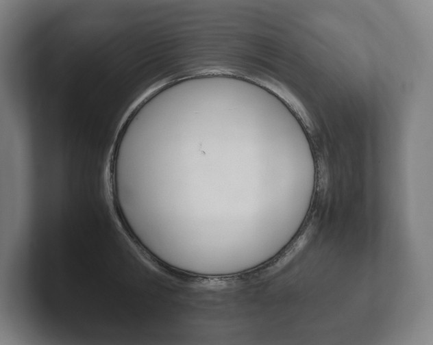 X0000102260806200807250837