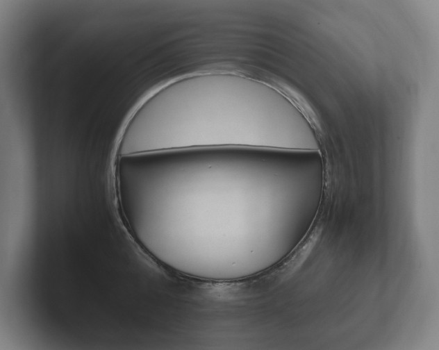 X0000102260808200807250836