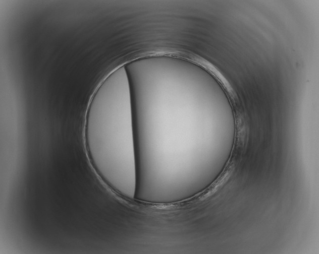 X0000102260810200807250836