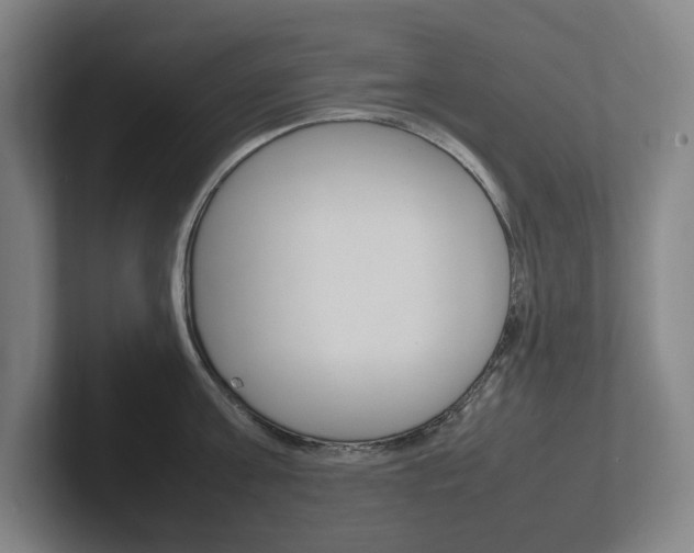 X0000102260811200807250836