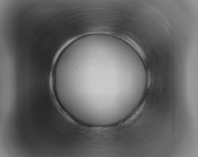 X0000102260812200807250836