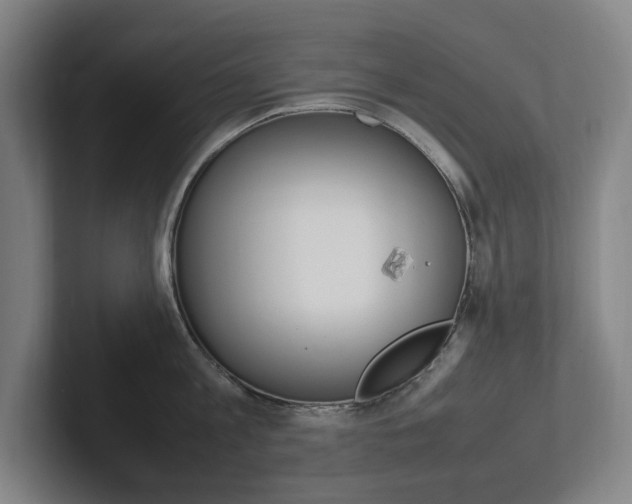 X0000102260813200807250836